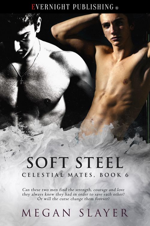 Produktbild: Soft Steel (Celestial Mates, #6)