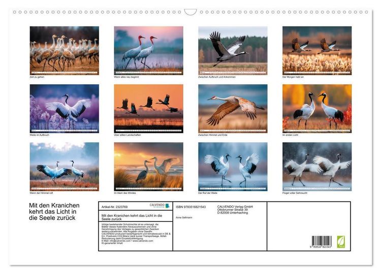 Produktbild: Mit den Kranichen kehrt das Licht in die Seele zur&uuml;ck (Wandkalender 2027 DIN A2 quer), CALVENDO Monatskalender