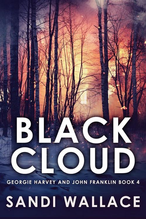 Produktbild: Black Cloud