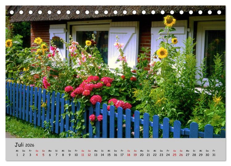 Produktbild: Blumen &uuml;berall, zur Freude Menschen (Tischkalender 2026 DIN A5 quer), CALVENDO Monatskalender