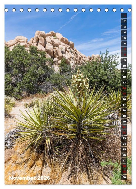 Produktbild: Impressionen aus dem JOSHUA TREE NATIONAL PARK (Tischkalender 2026 DIN A5 hoch), CALVENDO Monatskalender