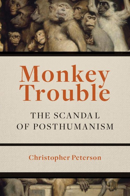 Produktbild: Monkey Trouble