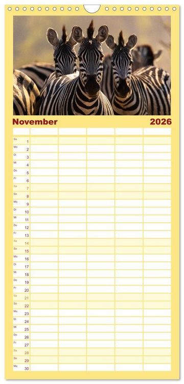 Produktbild: Familienplaner 2026 - Komm mit auf Safari! Botswana und S&uuml;dafrika mit 5 Spalten (Wandkalender, 21 x 45 cm) CALVENDO