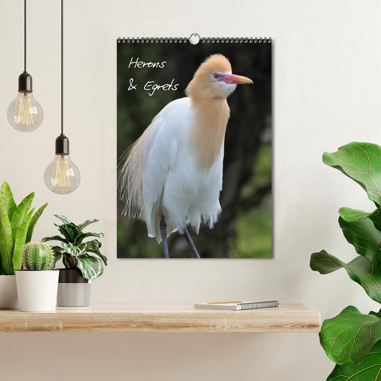 Produktbild: Herons & Egrets (Wall Calendar 2026 DIN A3 portrait), CALVENDO 12 Month Wall Calendar
