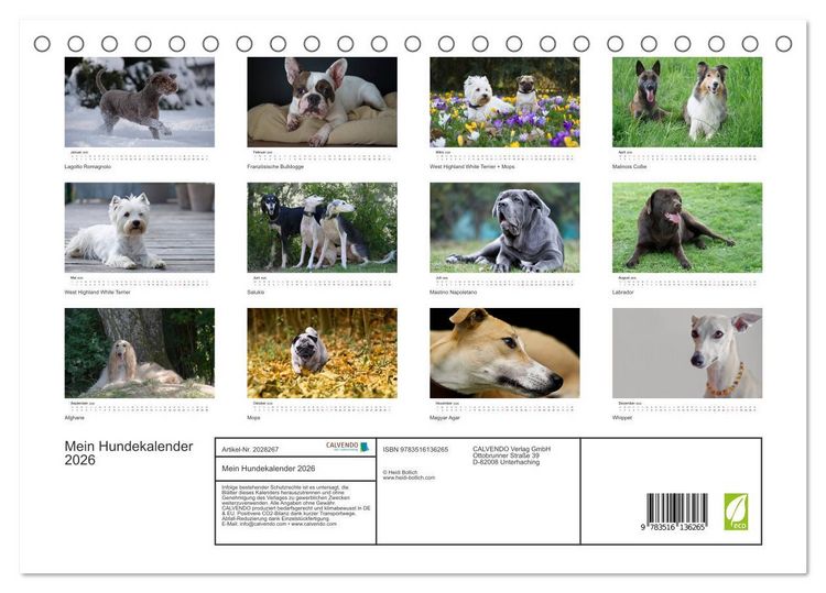 Produktbild: Mein Hundekalender 2026 (Tischkalender 2026 DIN A5 quer), CALVENDO Monatskalender