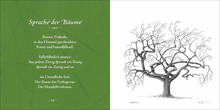 Produktbild: Bäume