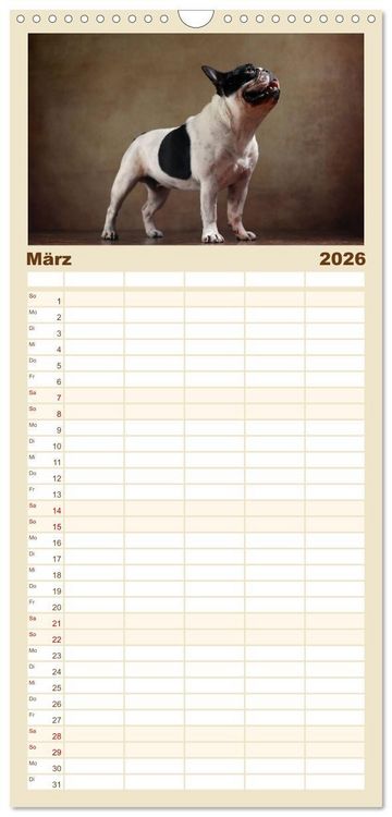 Produktbild: Familienplaner 2026 - Charme auf vier Pfoten - Franz&ouml;sische Bulldoggen Portraits mit 5 Spalten (Wandkalender, 21 x 45 cm) CALVENDO