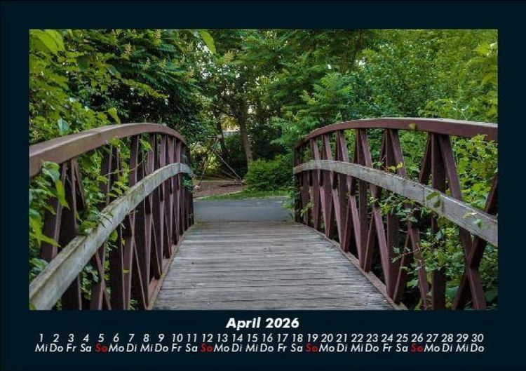 Produktbild: B&auml;ume 2026 Fotokalender DIN A5