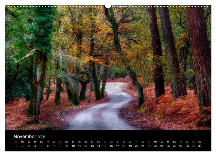 Produktbild: New Forest - England (Wandkalender 2026 DIN A2 quer), CALVENDO Monatskalender