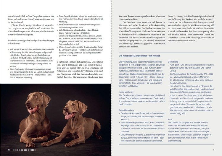 Produktbild: Dem Geruch auf der Spur