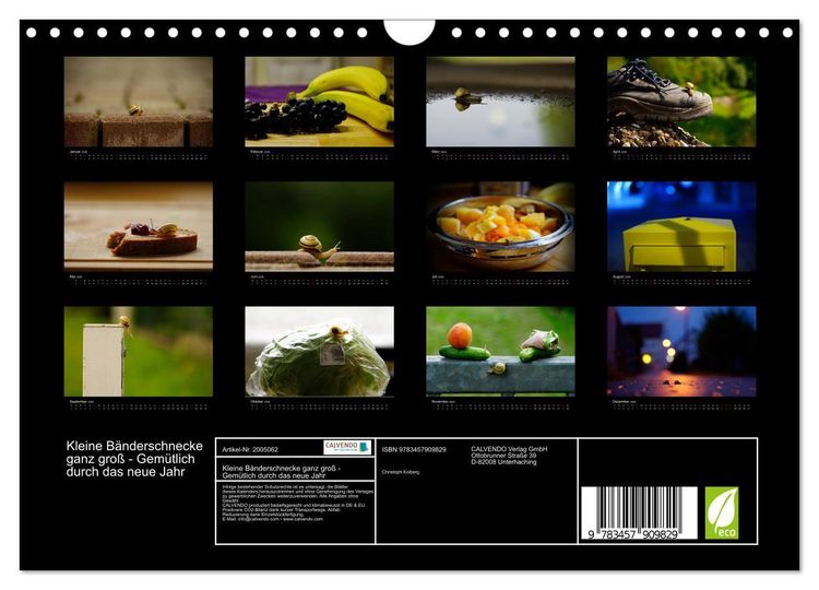 Produktbild: Kleine B&auml;nderschnecke ganz gro&szlig; - Gem&uuml;tlich durch das neue Jahr (Wandkalender 2026 DIN A4 quer), CALVENDO Monatskalender