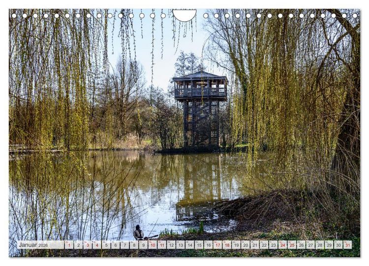 Produktbild: Straubing, eine Stadt zwischen Tradition und Moderne (Wandkalender 2026 DIN A4 quer), CALVENDO Monatskalender