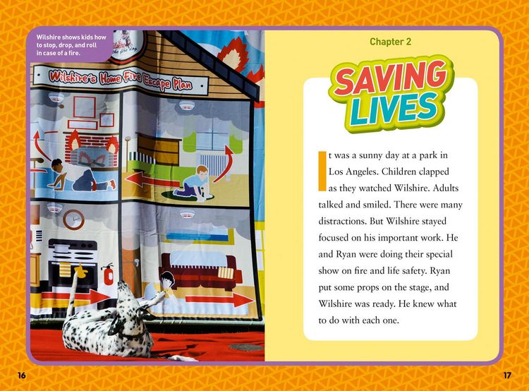 Produktbild: National Geographic Kids Chapters: Hero Dogs!