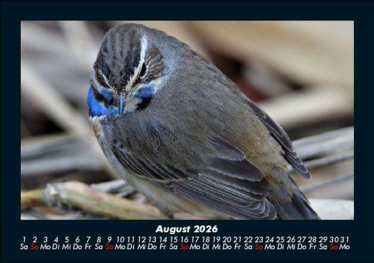 Produktbild: Vogelparadies 2026 Fotokalender DIN A5