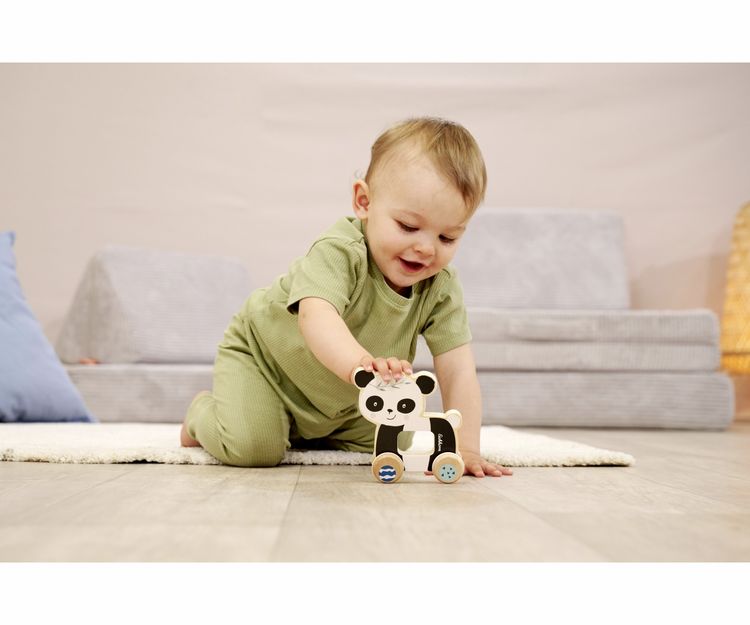 Produktbild: EH Schiebetier Panda