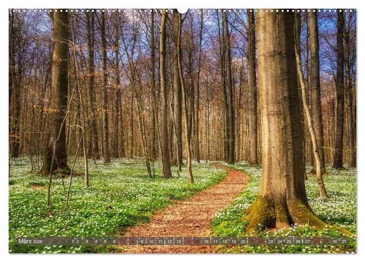Produktbild: Wege zur Entspannung 2026 (Wandkalender 2026 DIN A2 quer), CALVENDO Monatskalender