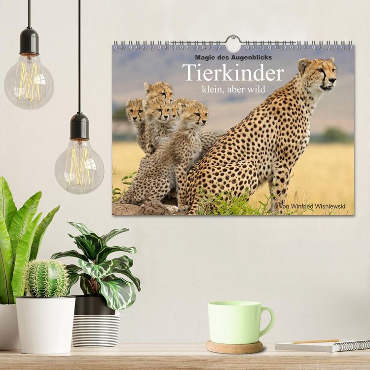 Produktbild: Magie des Augenblicks - Tierkinder - klein, aber wild (Wandkalender 2026 DIN A4 quer), CALVENDO Monatskalender