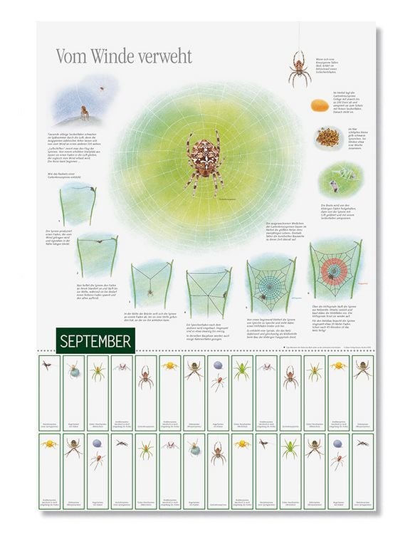 Produktbild: Natur erleben durch das Jahr - 3
