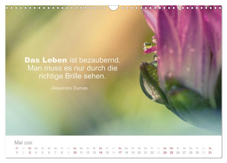 Produktbild: Zauberhafte Spr&uuml;che - Bunte Seelenbl&uuml;ten (Wandkalender 2026 DIN A3 quer), CALVENDO Monatskalender