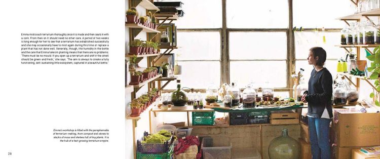 Produktbild: Leendertz, L: My Tiny Indoor Garden