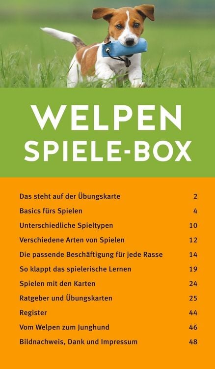 Produktbild: Welpen-Spiele-Box