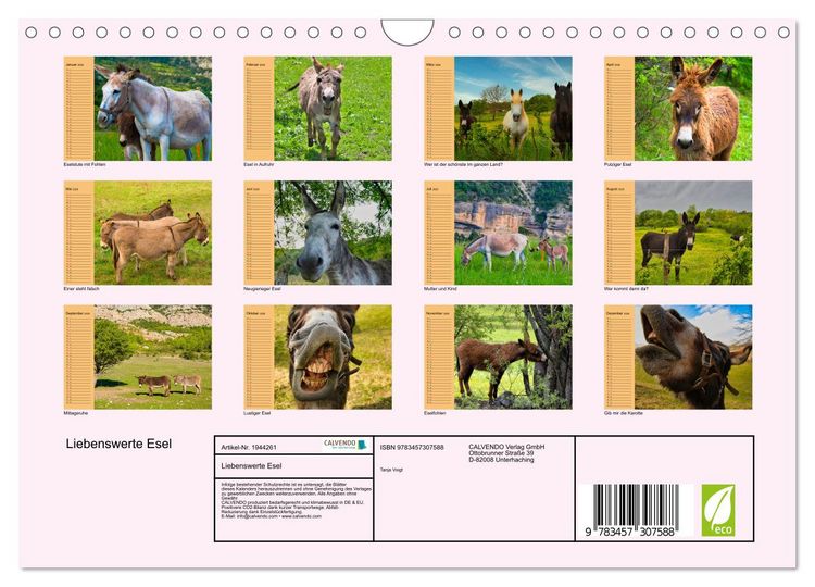 Produktbild: Liebenswerte Esel (Wandkalender 2026 DIN A4 quer), CALVENDO Monatskalender