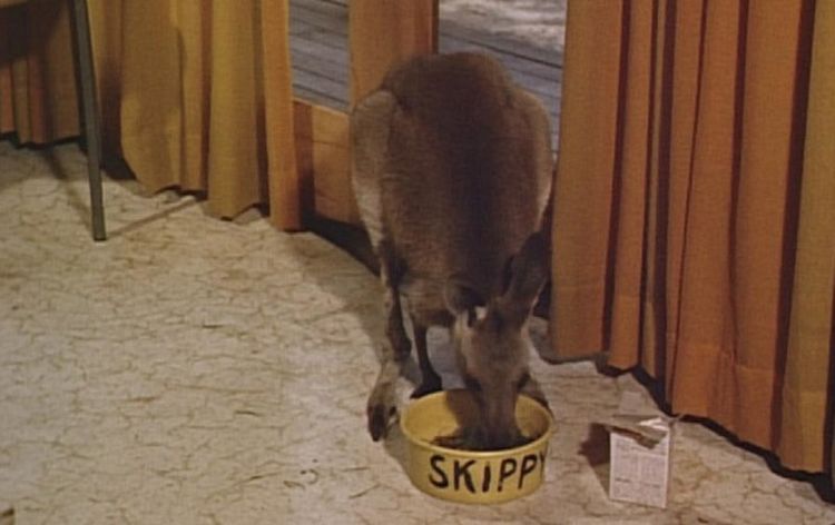 Produktbild: Skippy - Das Buschk&auml;nguruh - Teil 1 [4 DVDs]