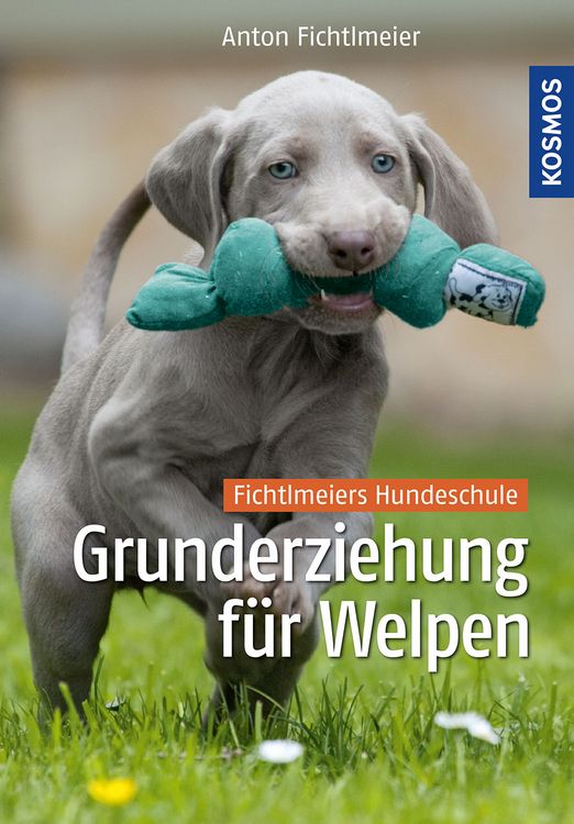 Produktbild: Grunderziehung f&uuml;r Welpen