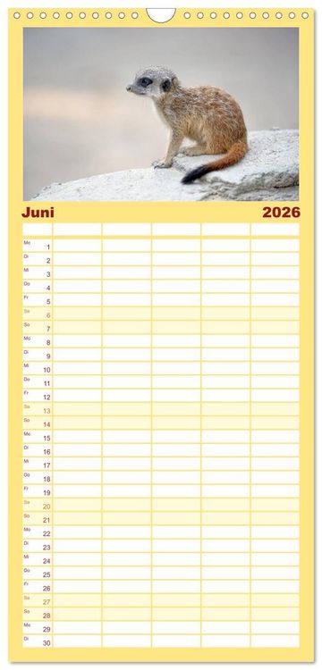 Produktbild: Familienplaner 2026 - Lustige Erdm&auml;nnchen mit 5 Spalten (Wandkalender, 21 x 45 cm) CALVENDO