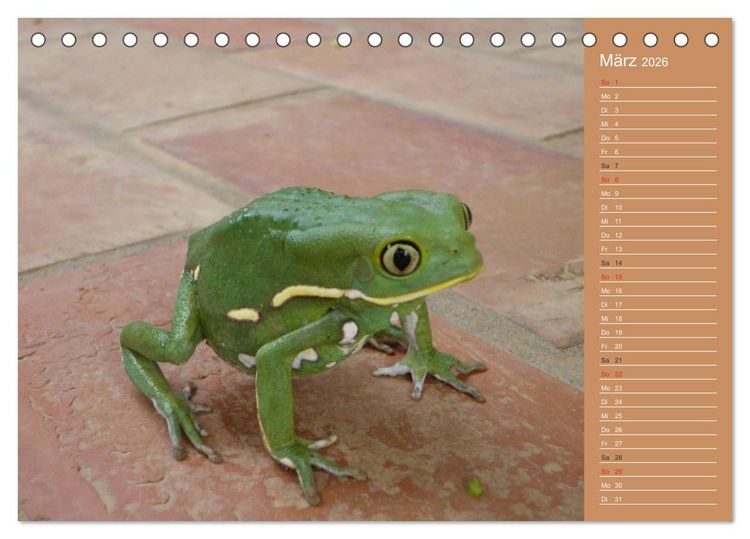 Produktbild: Bilder aus dem Chaco in Paraguay (Tischkalender 2026 DIN A5 quer), CALVENDO Monatskalender