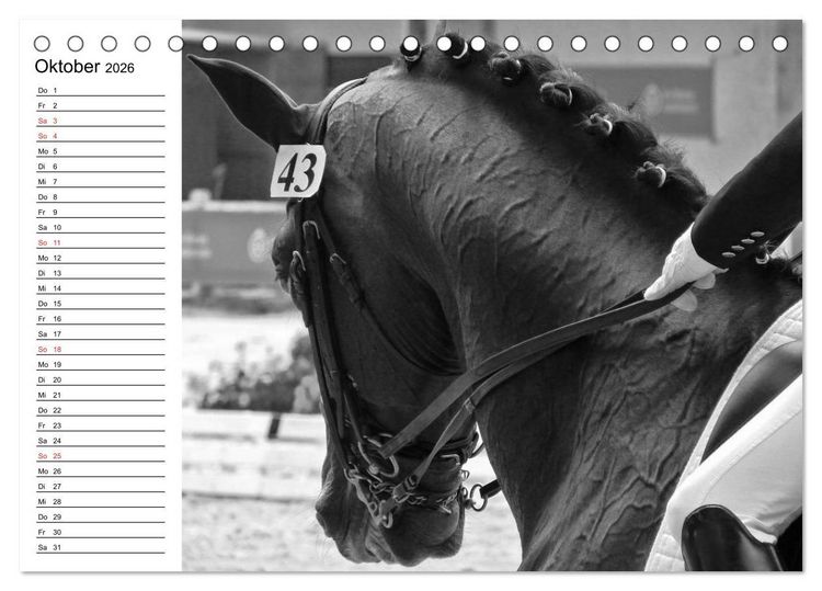 Produktbild: Leidenschaft Pferdesport - Impressionen (Tischkalender 2026 DIN A5 quer), CALVENDO Monatskalender