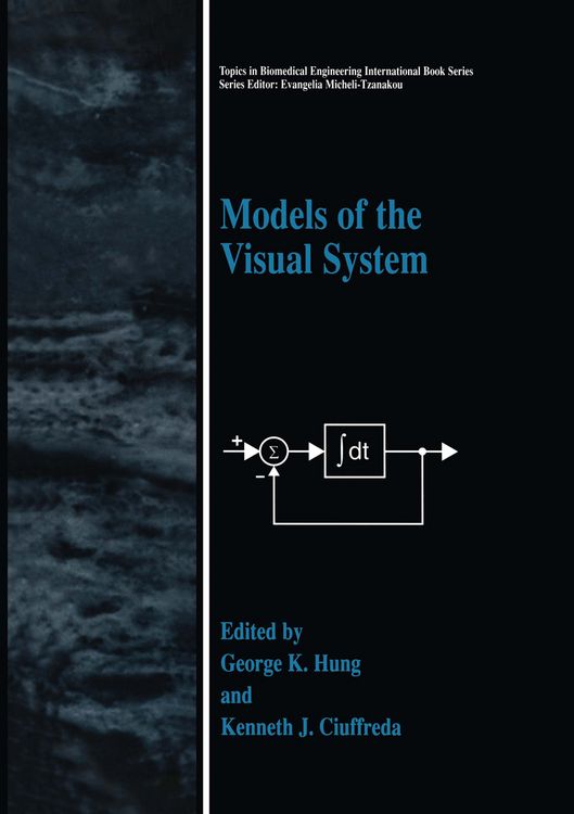 Produktbild: Models of the Visual System