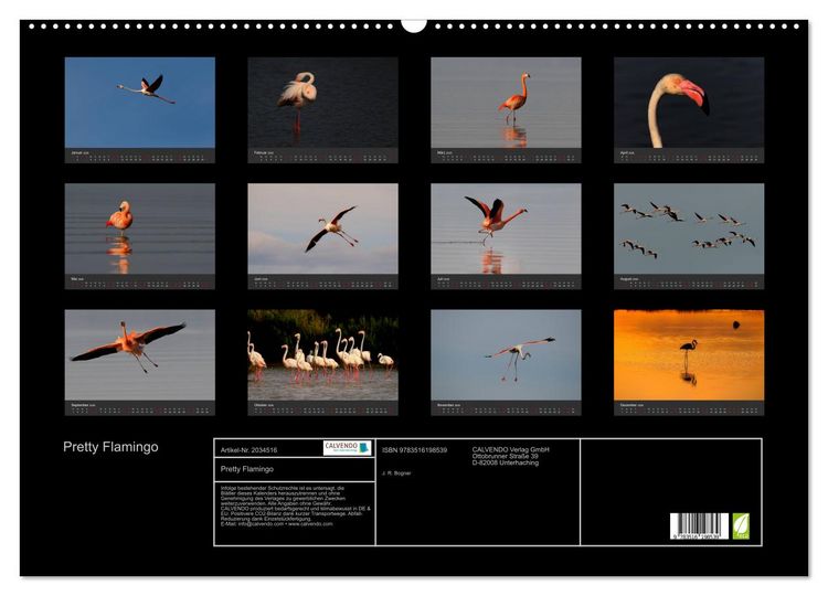 Produktbild: Pretty Flamingo (Wandkalender 2026 DIN A2 quer), CALVENDO Monatskalender