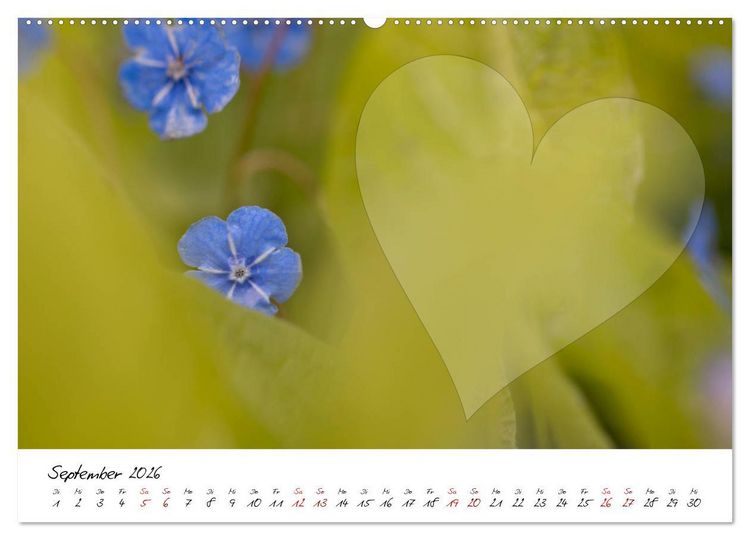 Produktbild: Blauer Bl&uuml;tentraum - Bastelkalender (Wandkalender 2026 DIN A2 quer), CALVENDO Monatskalender