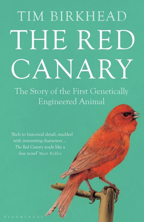 Produktbild: The Red Canary