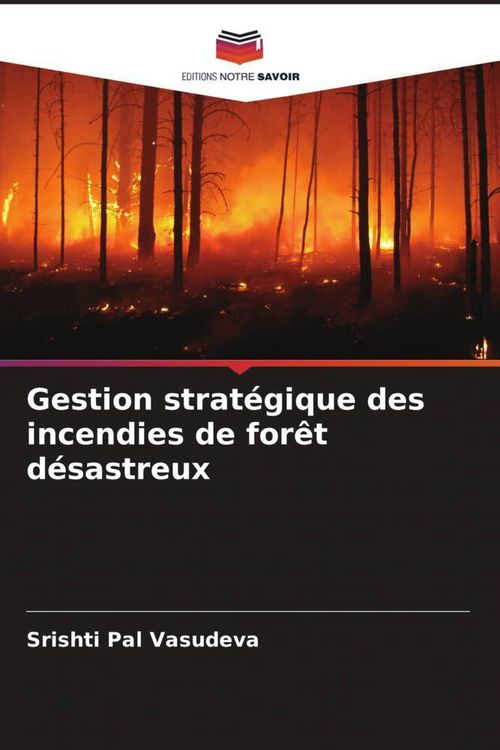 Produktbild: Gestion strat&eacute;gique des incendies de for&ecirc;t d&eacute;sastreux