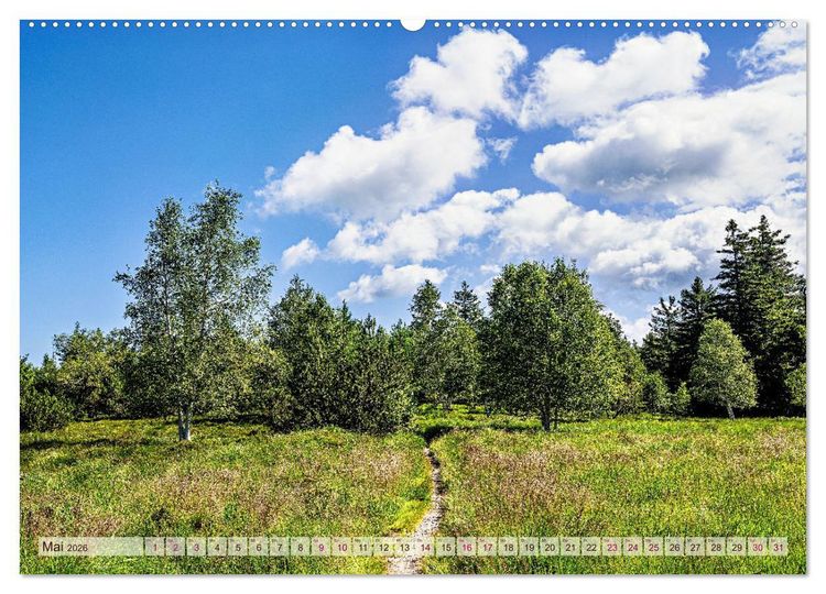 Produktbild: Entlang der Schwarzwald-Hochstra&szlig;e (Wandkalender 2026 DIN A2 quer), CALVENDO Monatskalender
