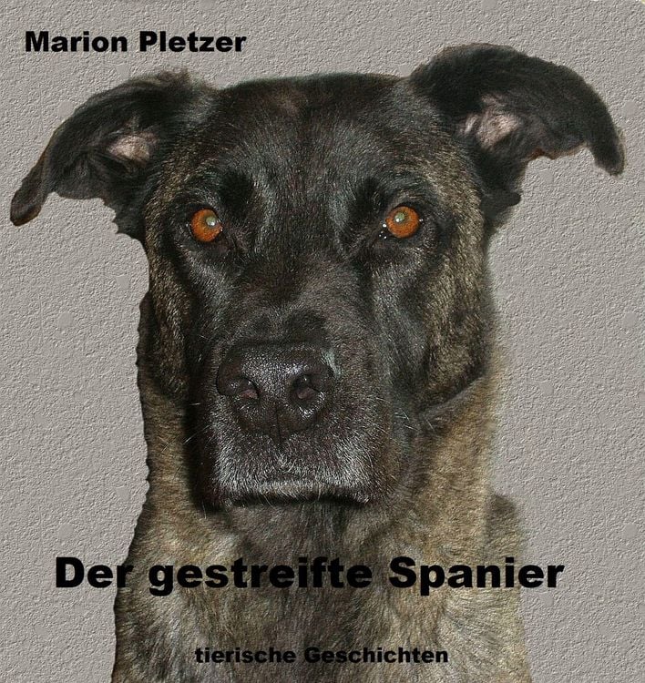 Produktbild: Der gestreifte Spanier