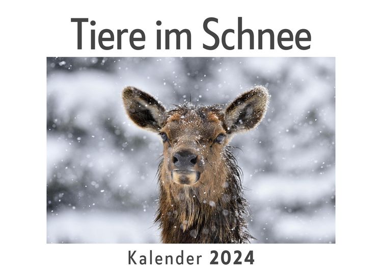Schner Kalender 2024