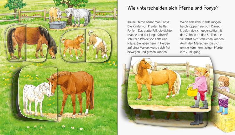Produktbild: Wieso? Weshalb? Warum? Mein junior zum H&ouml;ren, Band 5: Pferde