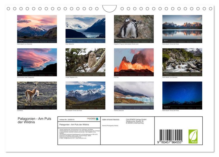 Produktbild: Patagonien - Am Puls der Wildnis (Wandkalender 2026 DIN A4 quer), CALVENDO Monatskalender