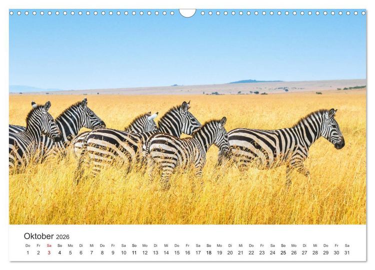 Produktbild: Safari durch Afrika (Wandkalender 2026 DIN A3 quer), CALVENDO Monatskalender