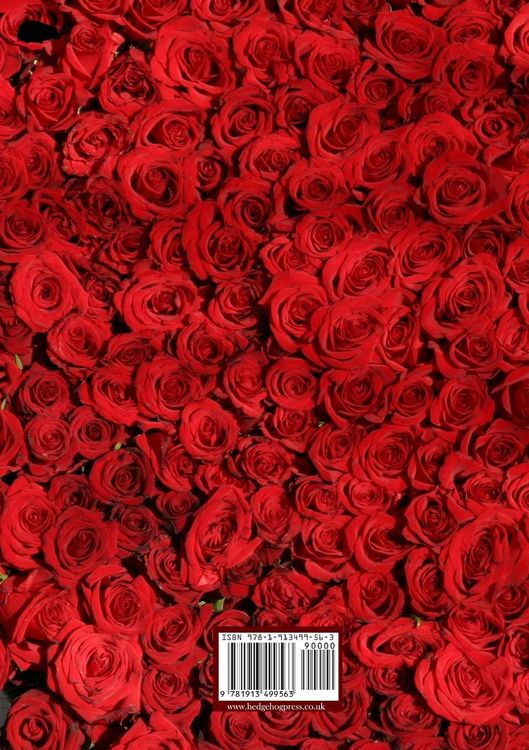 Produktbild: Cupid's Arrow