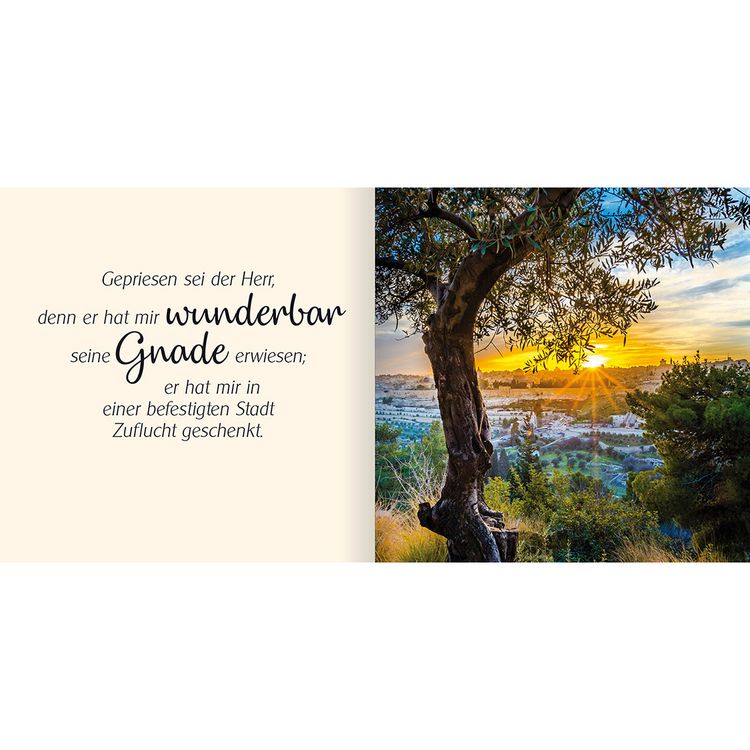 Produktbild: Ich schenke dir Psalm 31
