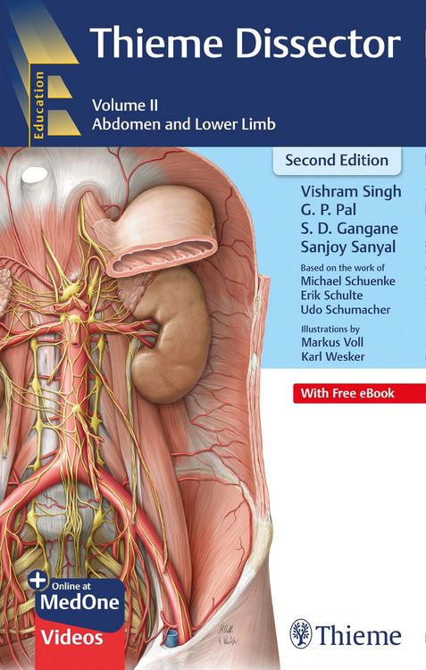 Produktbild: Thieme Dissector Volume 2