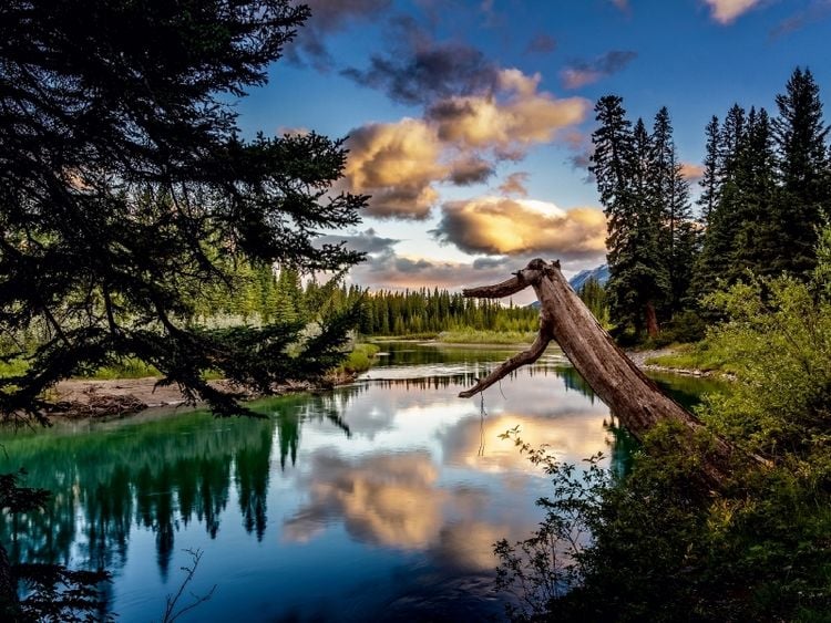 Produktbild: Bow River, Alberta (Puzzle)