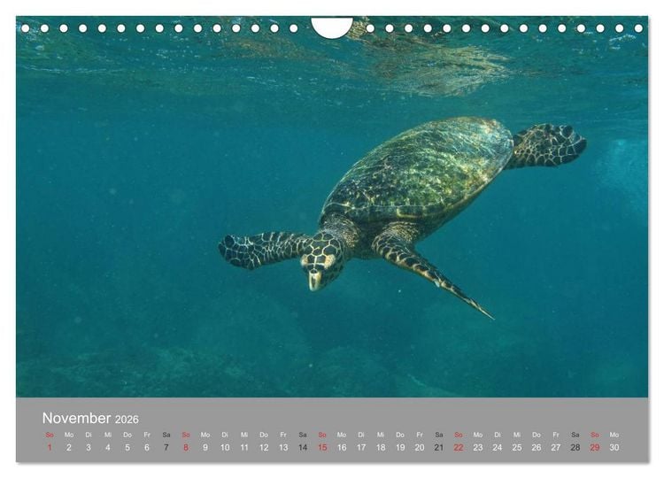 Produktbild: Seychellen (Wandkalender 2026 DIN A4 quer), CALVENDO Monatskalender
