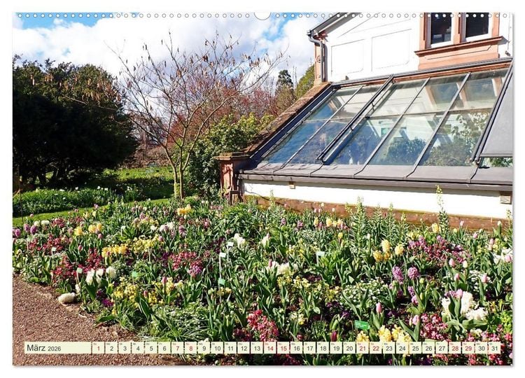Produktbild: Weinheim erleben Schlosspark, Burgen und einladender Marktplatz (Wandkalender 2026 DIN A2 quer), CALVENDO Monatskalender