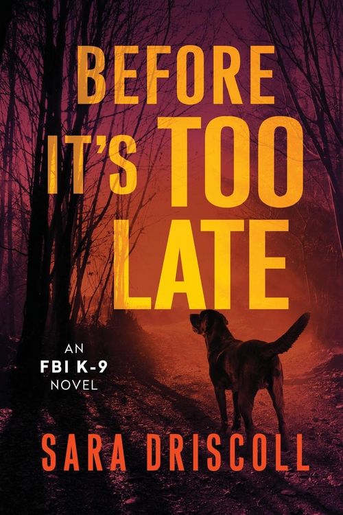 Produktbild: Before It's Too Late