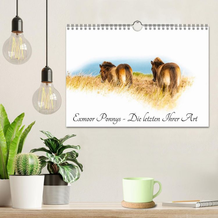Produktbild: Exmoor Ponnys - Die letzten Ihrer Art (Wandkalender 2026 DIN A4 quer), CALVENDO Monatskalender